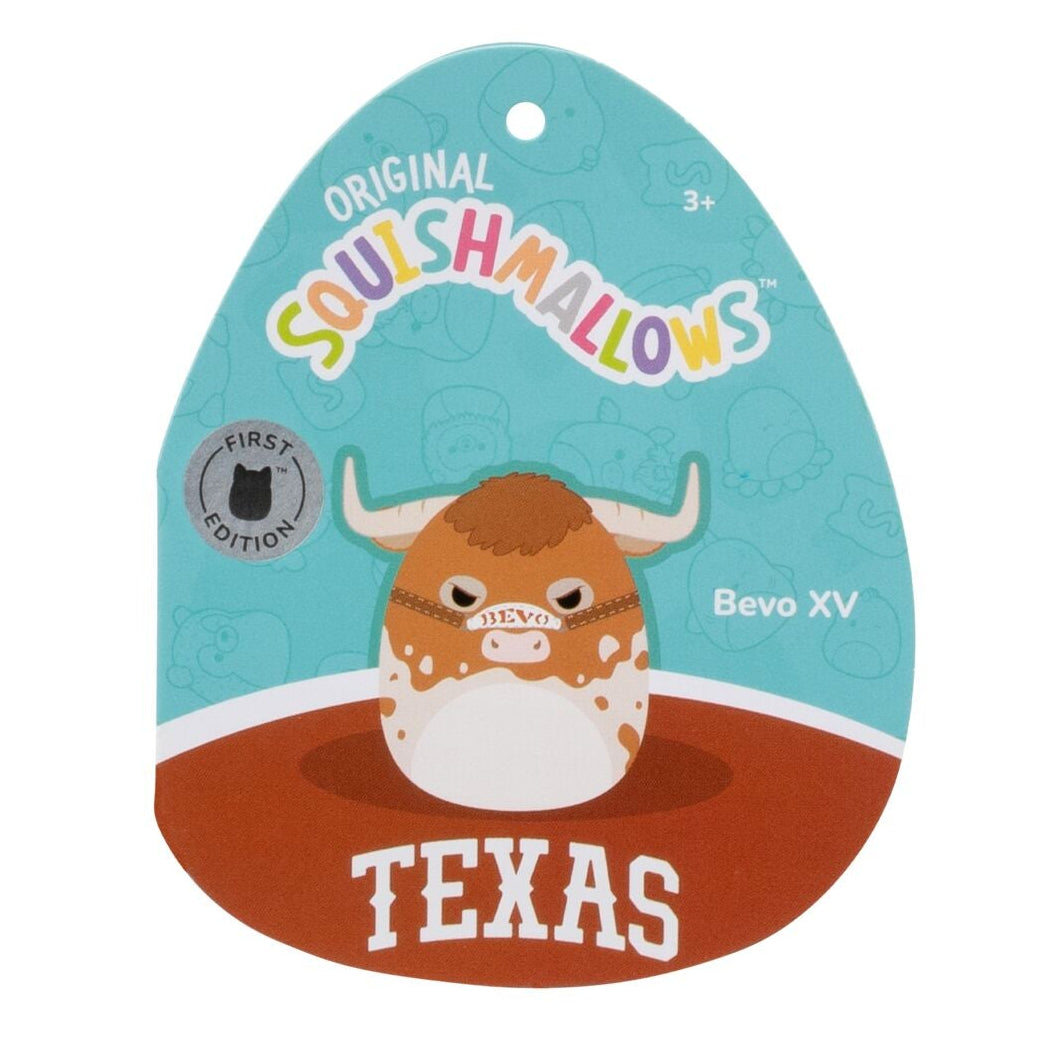 University of Texas 12-Inch Bevo XV