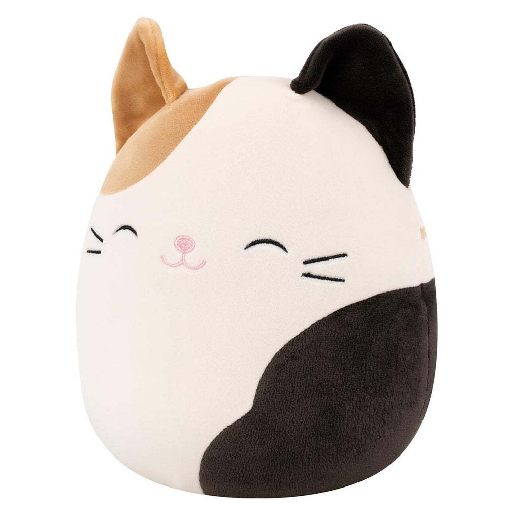 Cam the Calico Cat