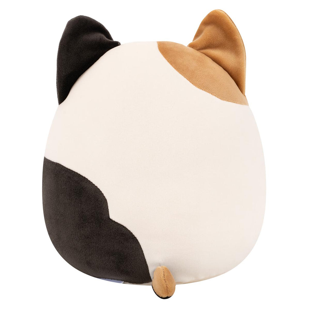 Cam the Calico Cat